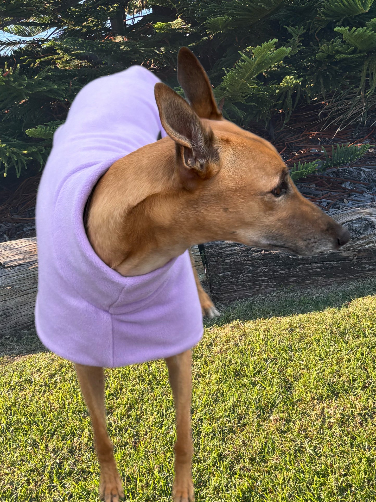 Luscious lilac thick and snuggly fleece sports