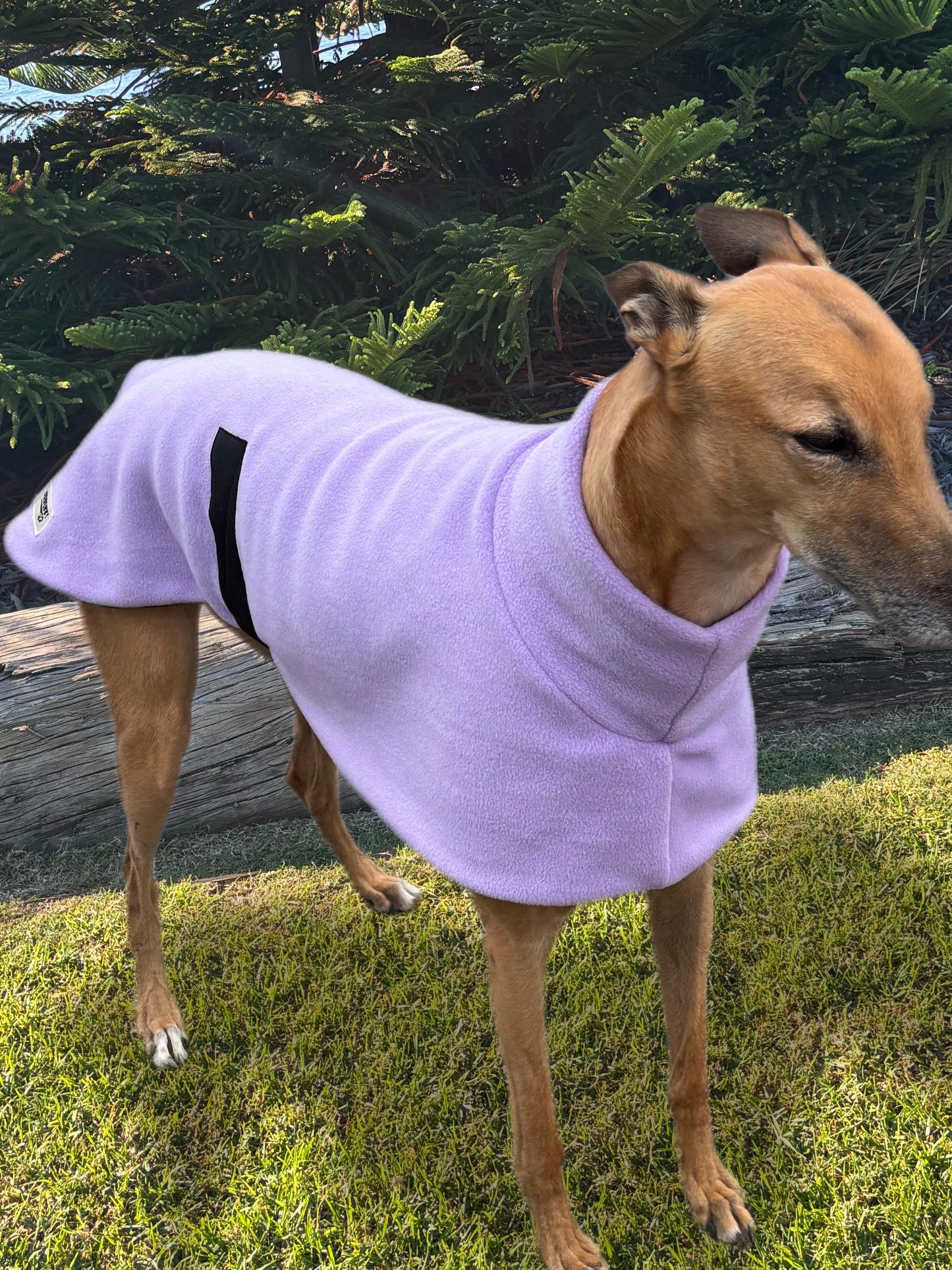 Luscious lilac thick and snuggly fleece sports