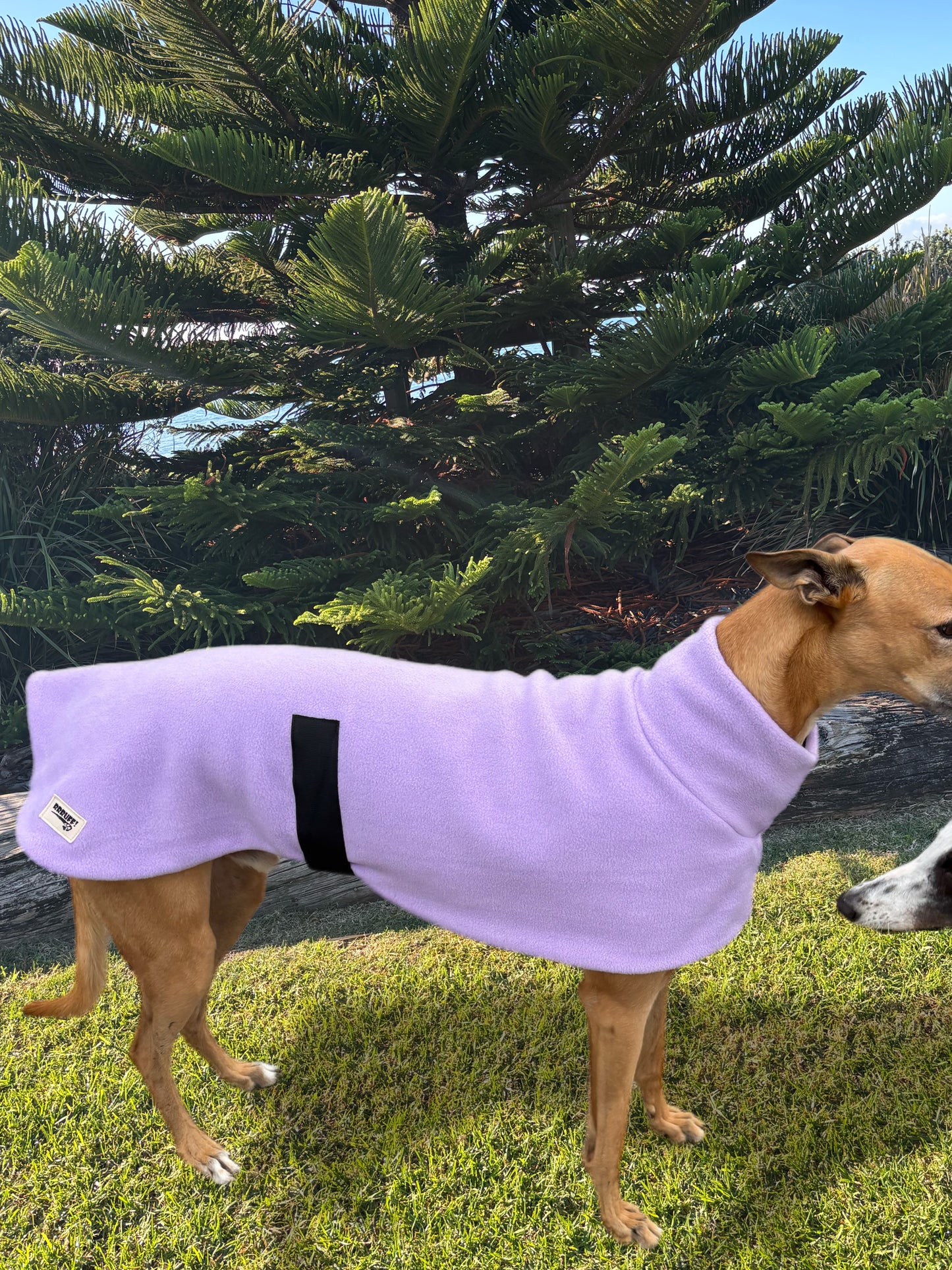 Luscious lilac thick and snuggly fleece sports