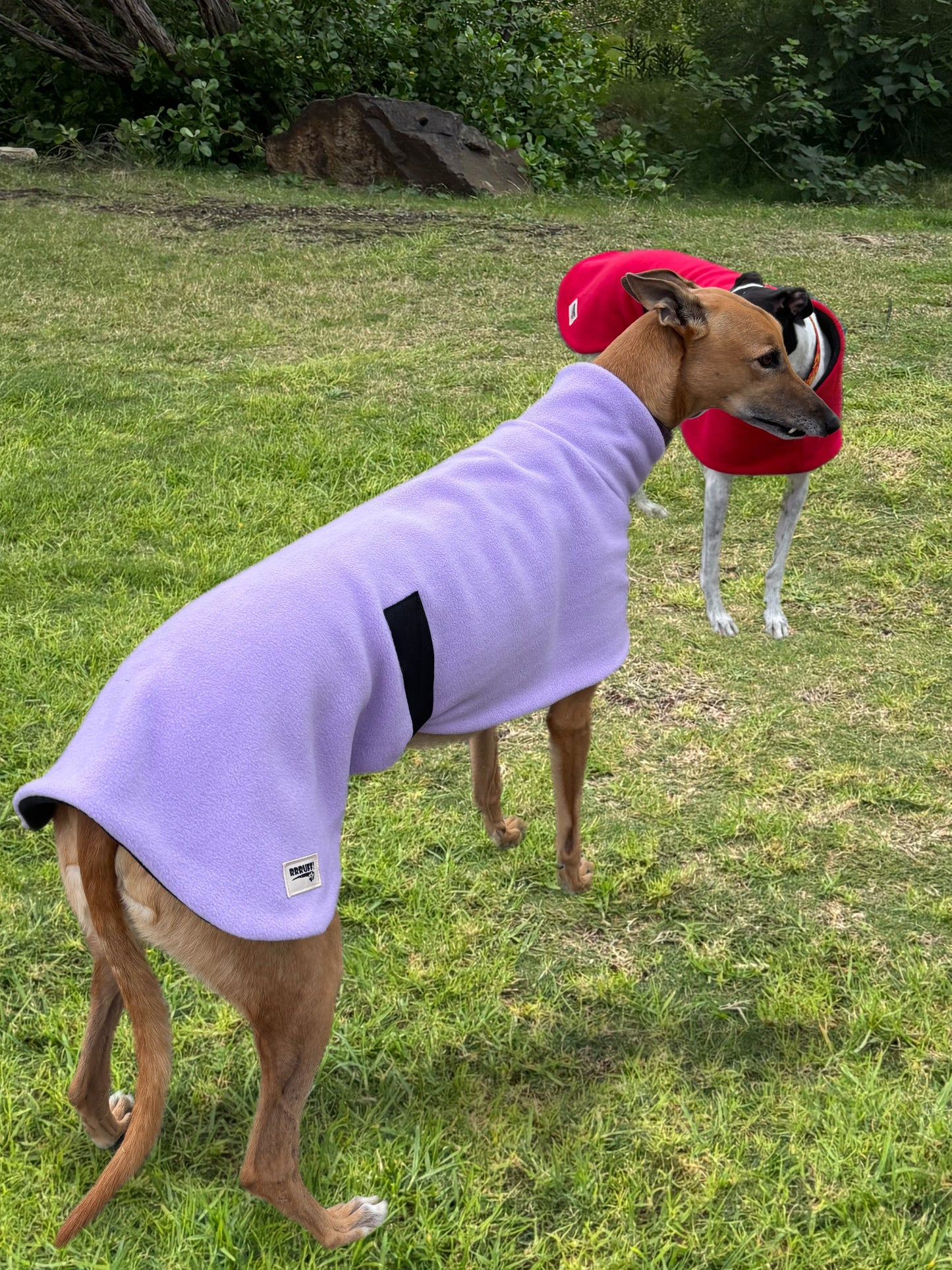 Luscious lilac thick and snuggly fleece sports