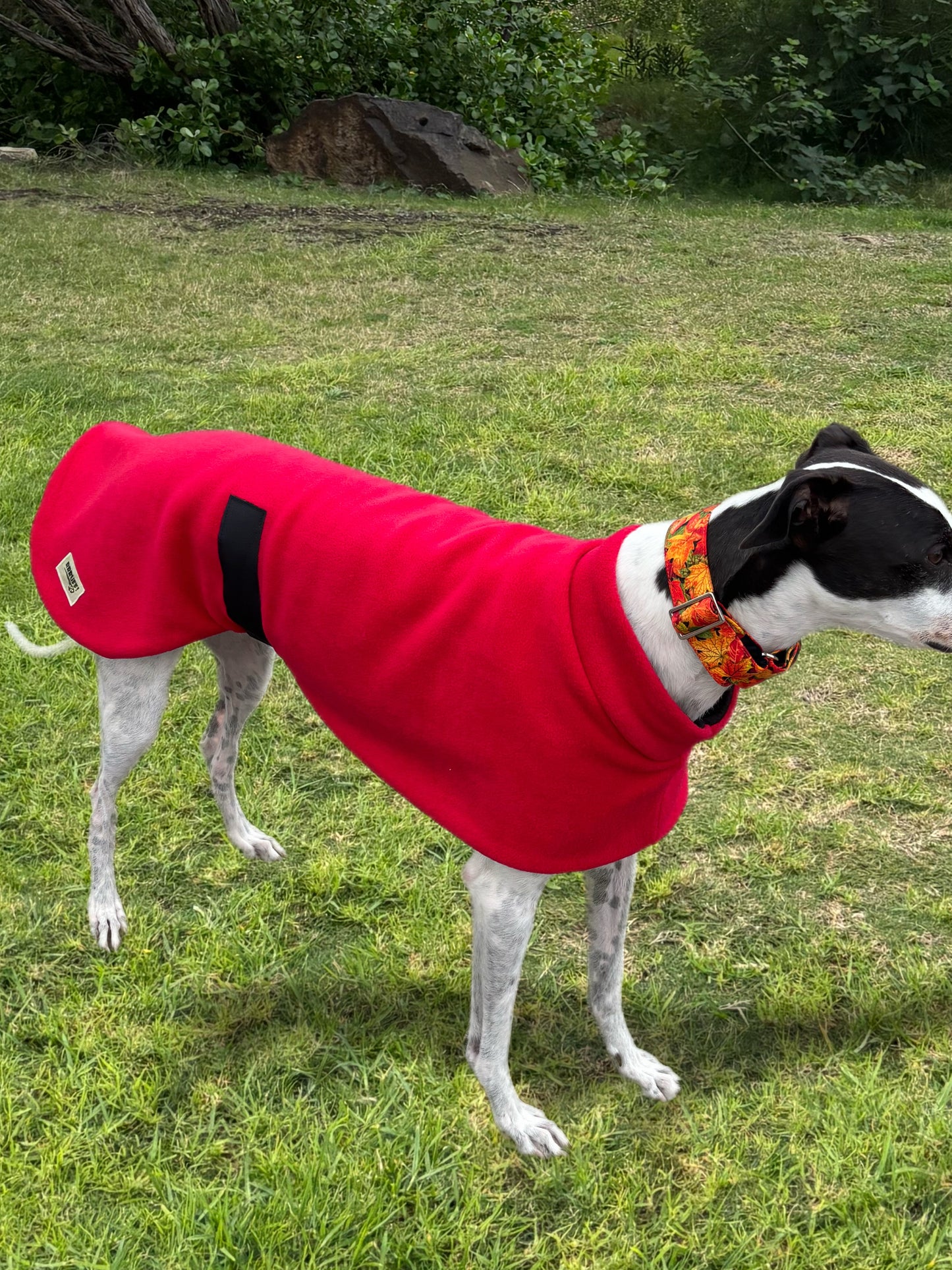 Rich red thick and snuggly fleece sports