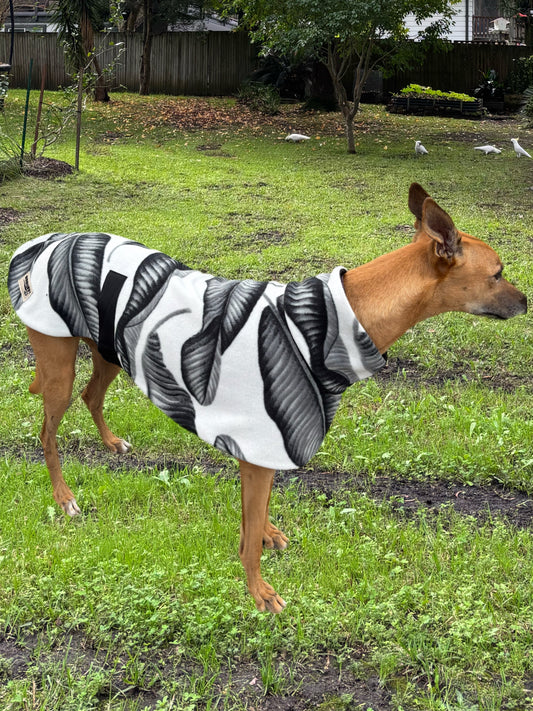 Black and white snuggly fleece sports.