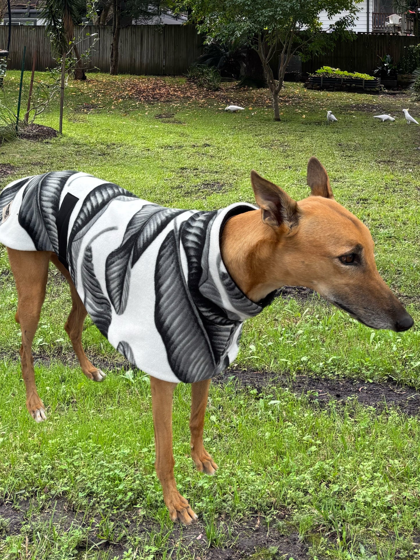 Black and white snuggly fleece sports.
