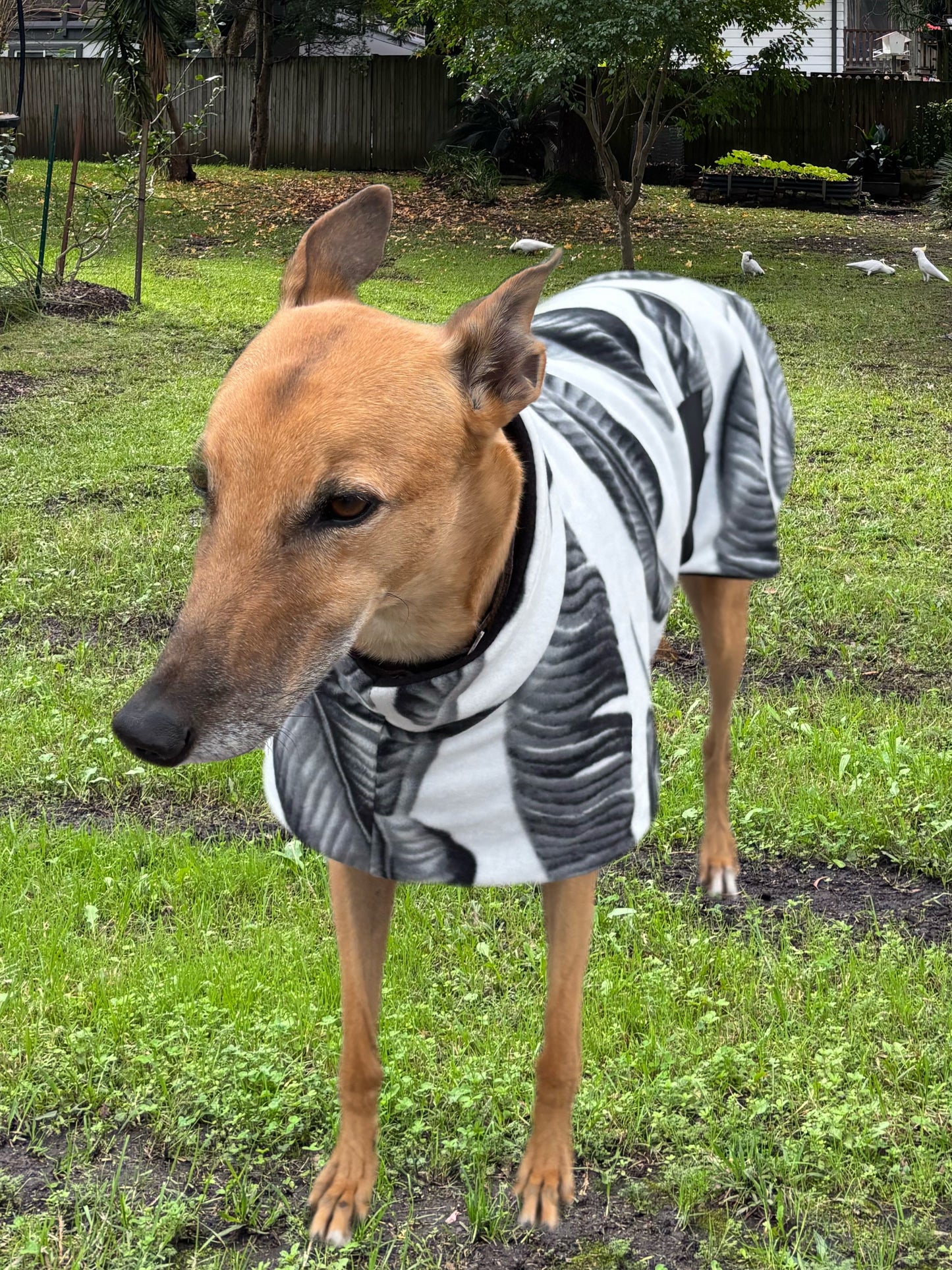Black and white snuggly fleece sports.