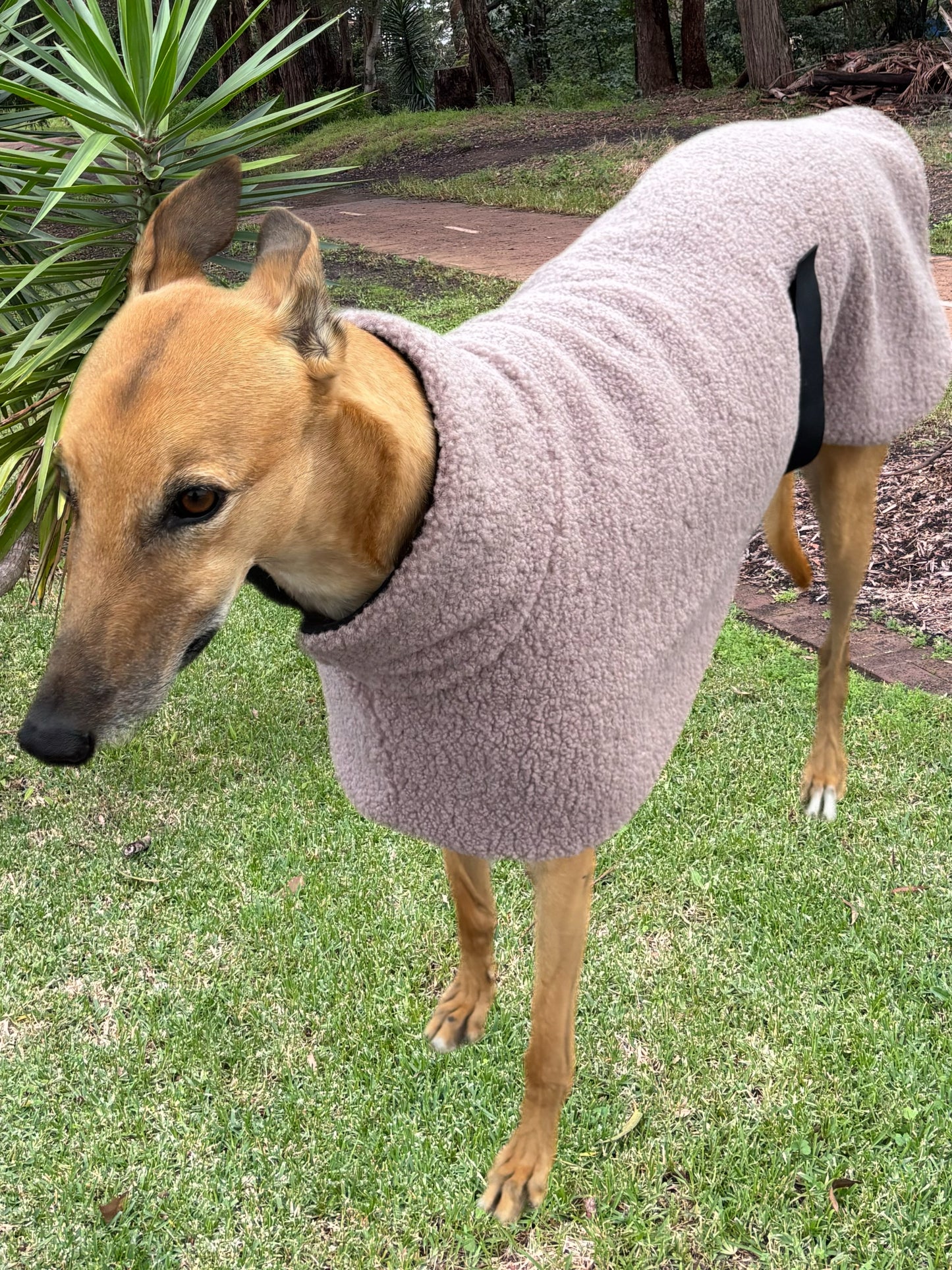 Mushroom snuggly midweight teddy fleece sports