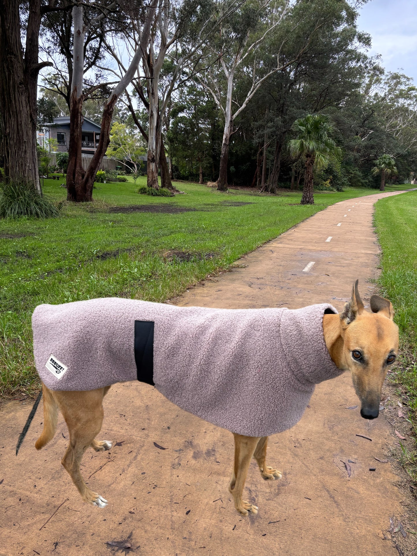 Mushroom snuggly midweight teddy fleece sports