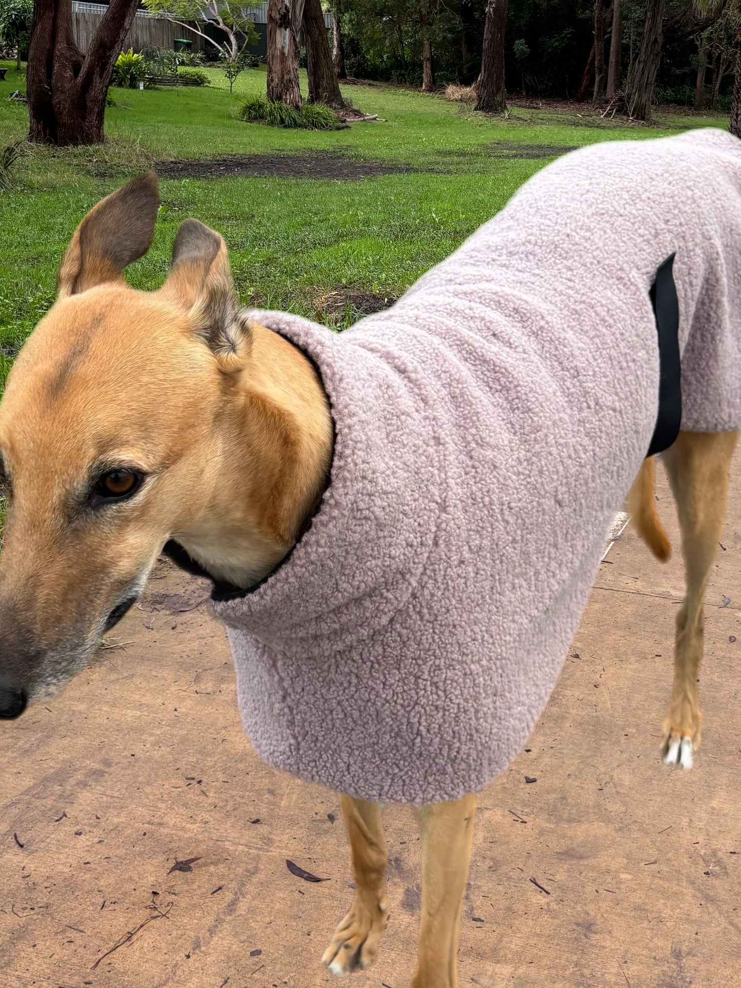 Mushroom snuggly midweight teddy fleece sports