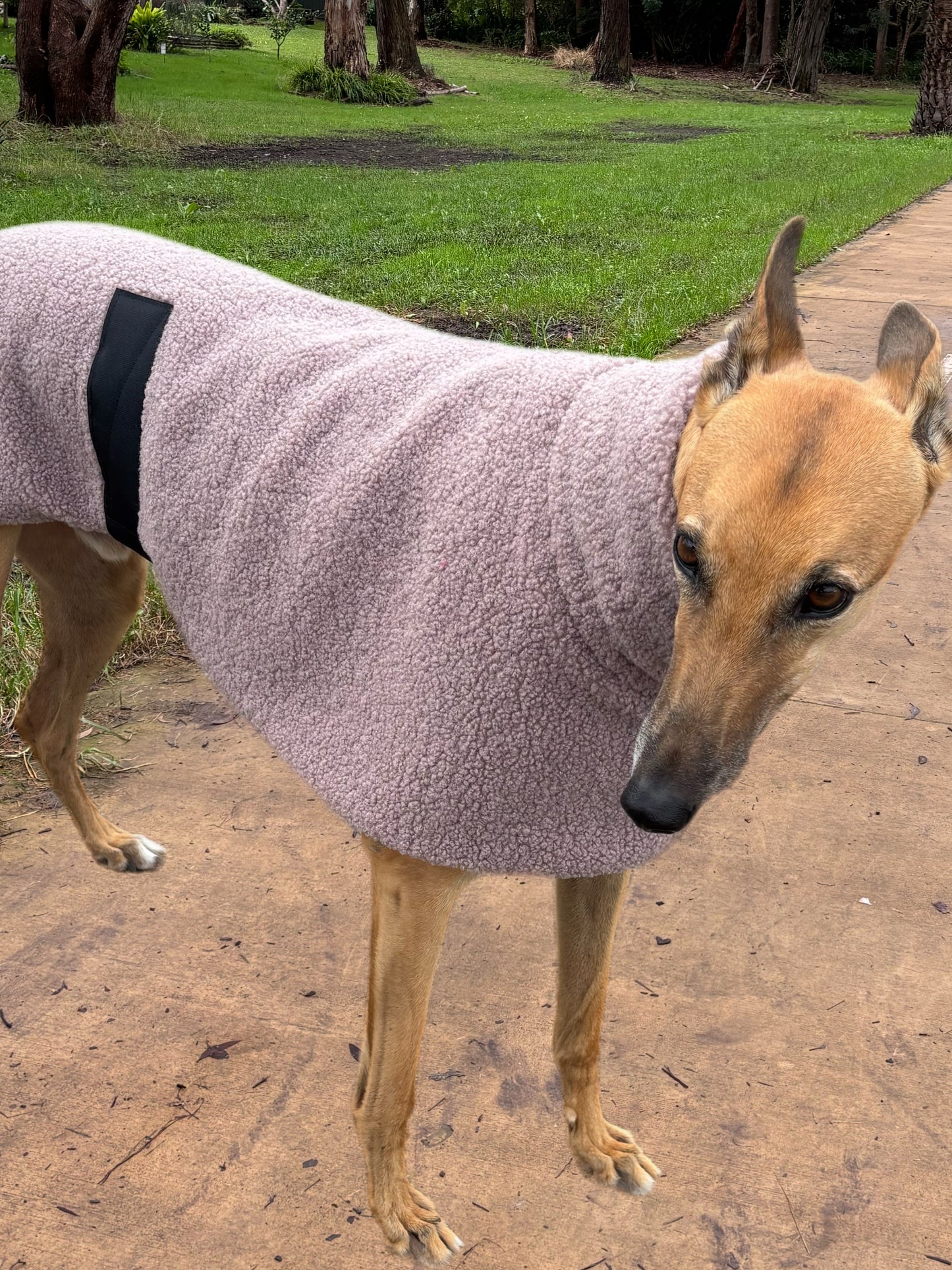Mushroom snuggly midweight teddy fleece sports