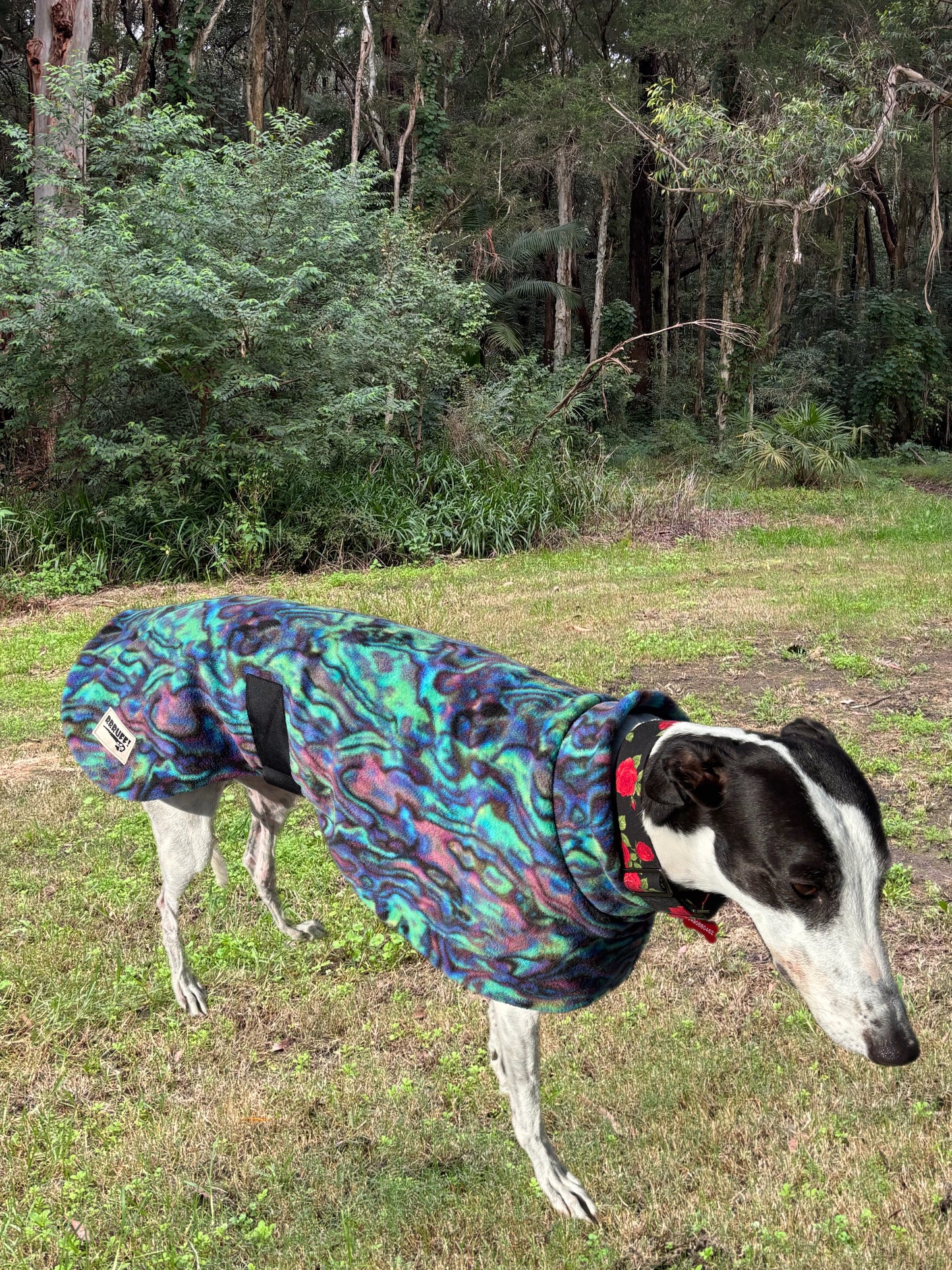 Abalone Paua shell snuggly green & purple tones fleece sports