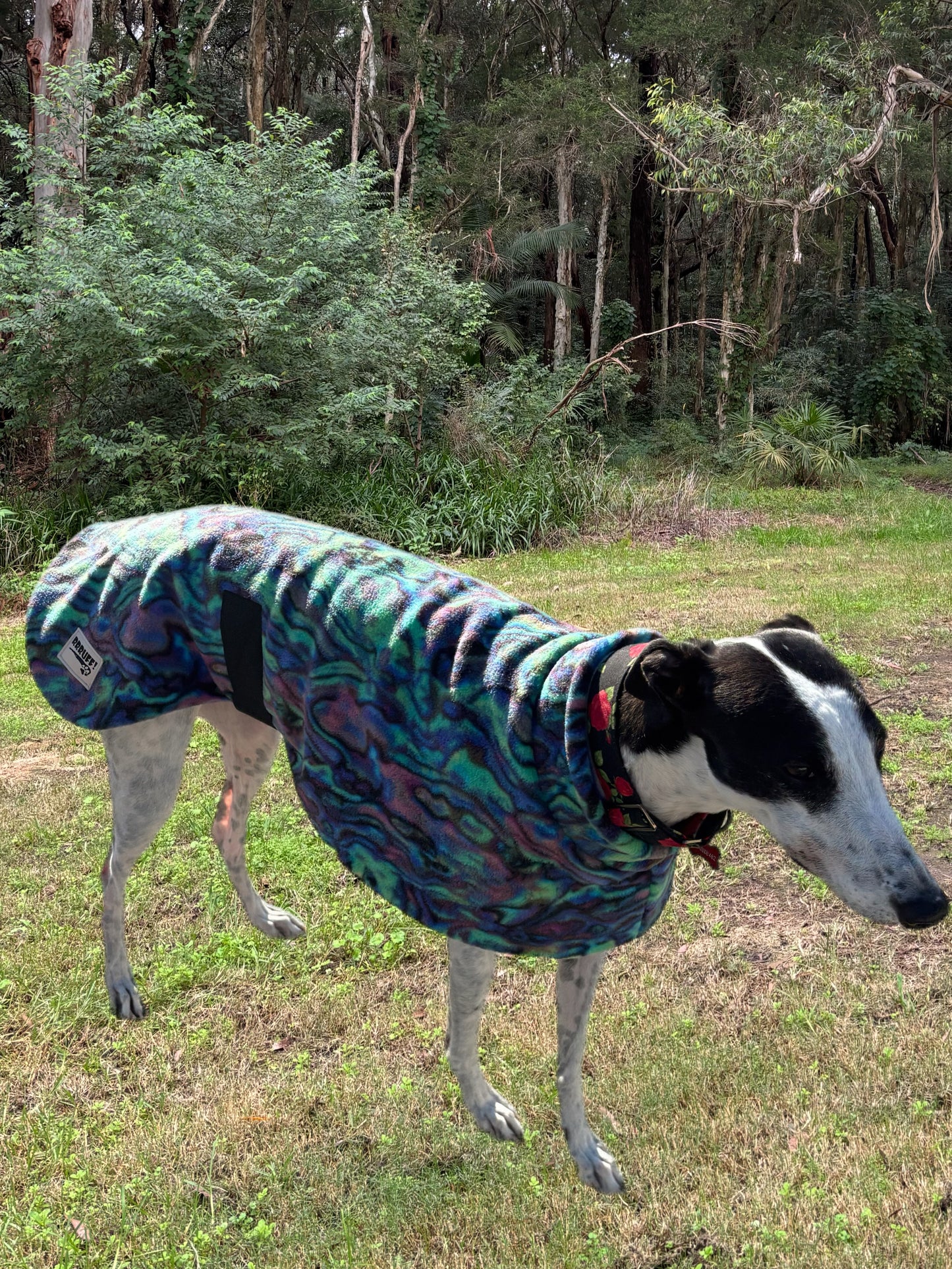 Abalone Paua shell snuggly green & purple tones fleece sports