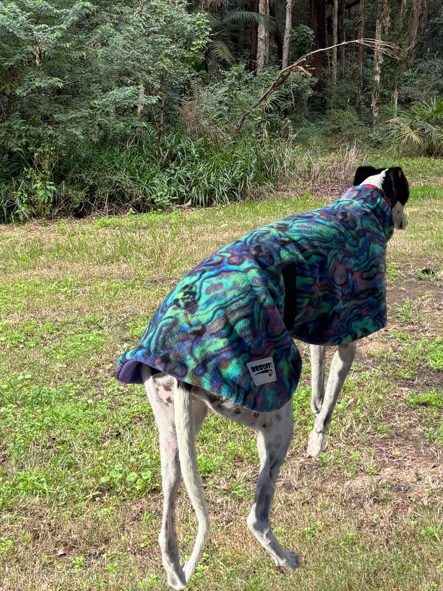 Abalone Paua shell snuggly green & purple tones fleece sports