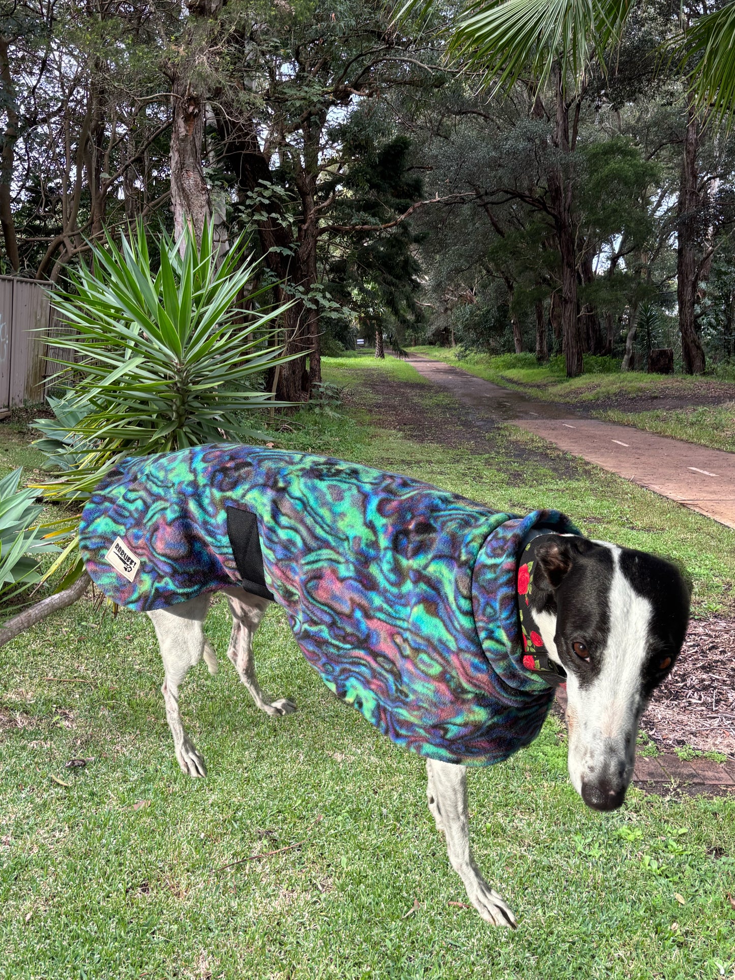 Abalone Paua shell snuggly green & purple tones fleece sports