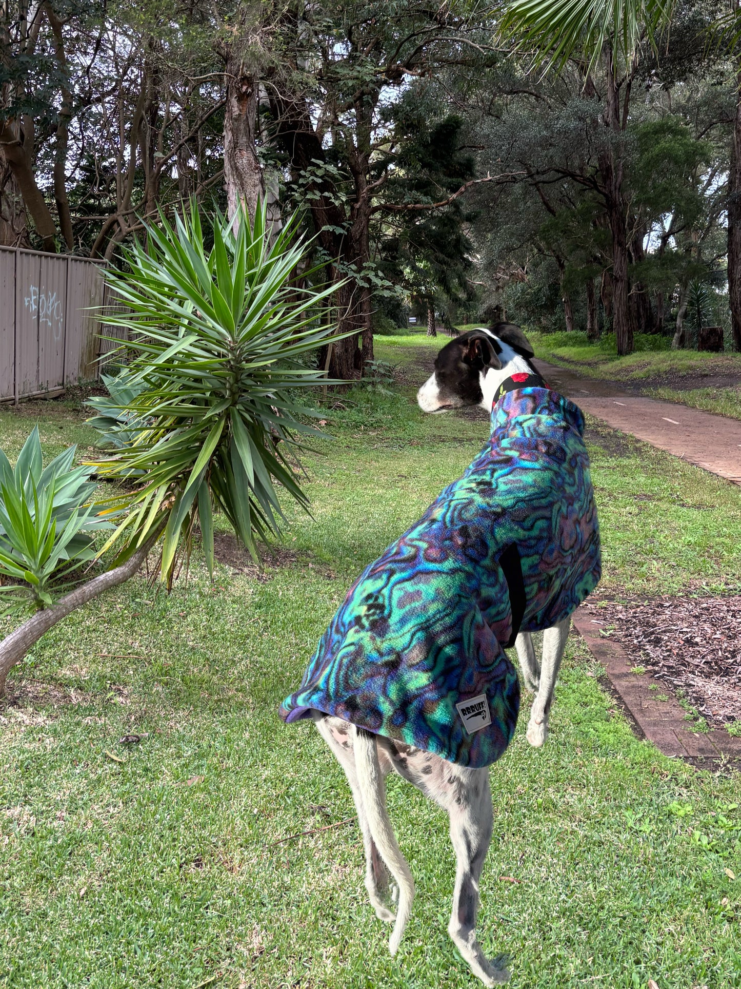 Abalone Paua shell snuggly green & purple tones fleece sports