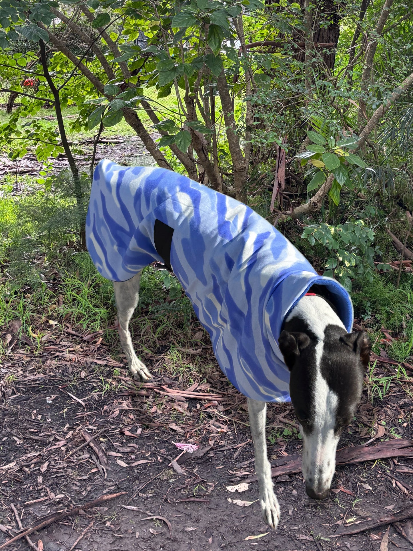 Blue winter weight windcheater fleece sports sale