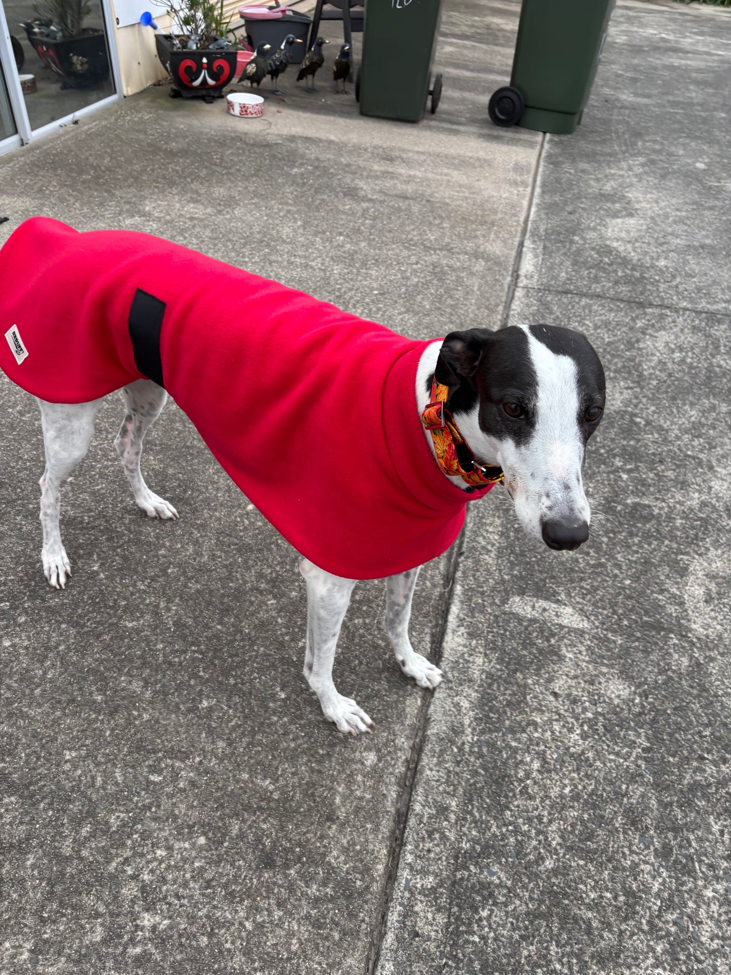 Rich red thick and snuggly fleece sports