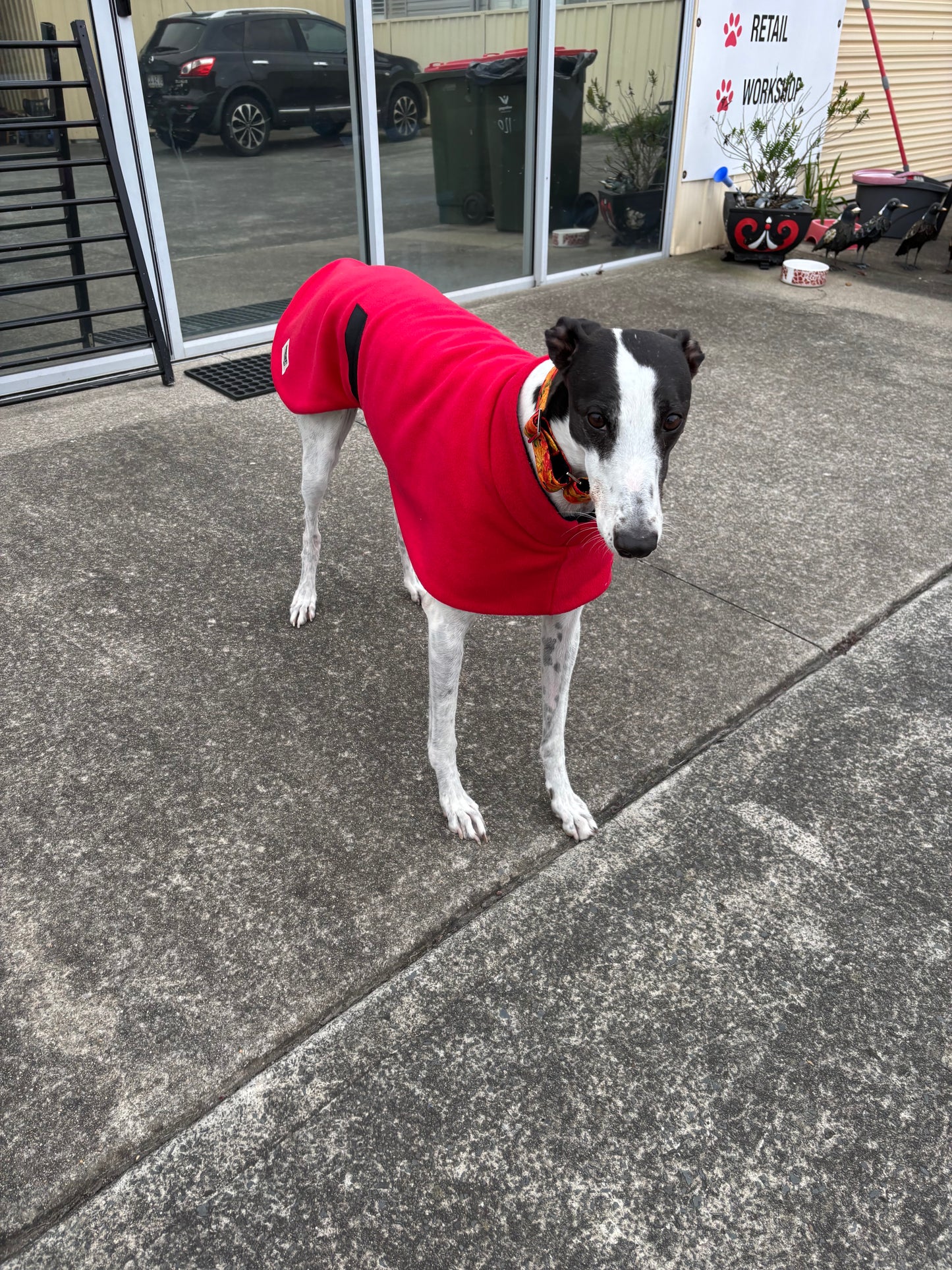 Rich red thick and snuggly fleece sports