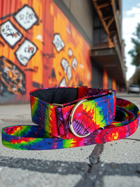 Retro vibrant Greyhound Martingale collar cotton covered 50mm width super soft