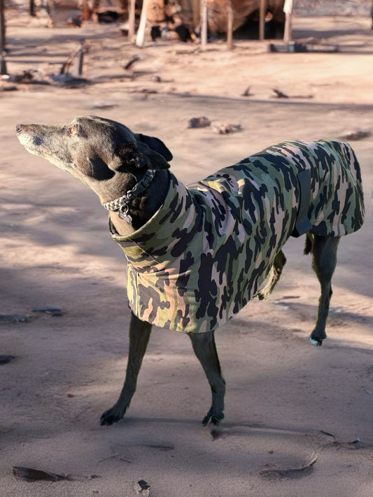 Cammo green Autumn range sports style Greyhound coat in cotton & fleece washable