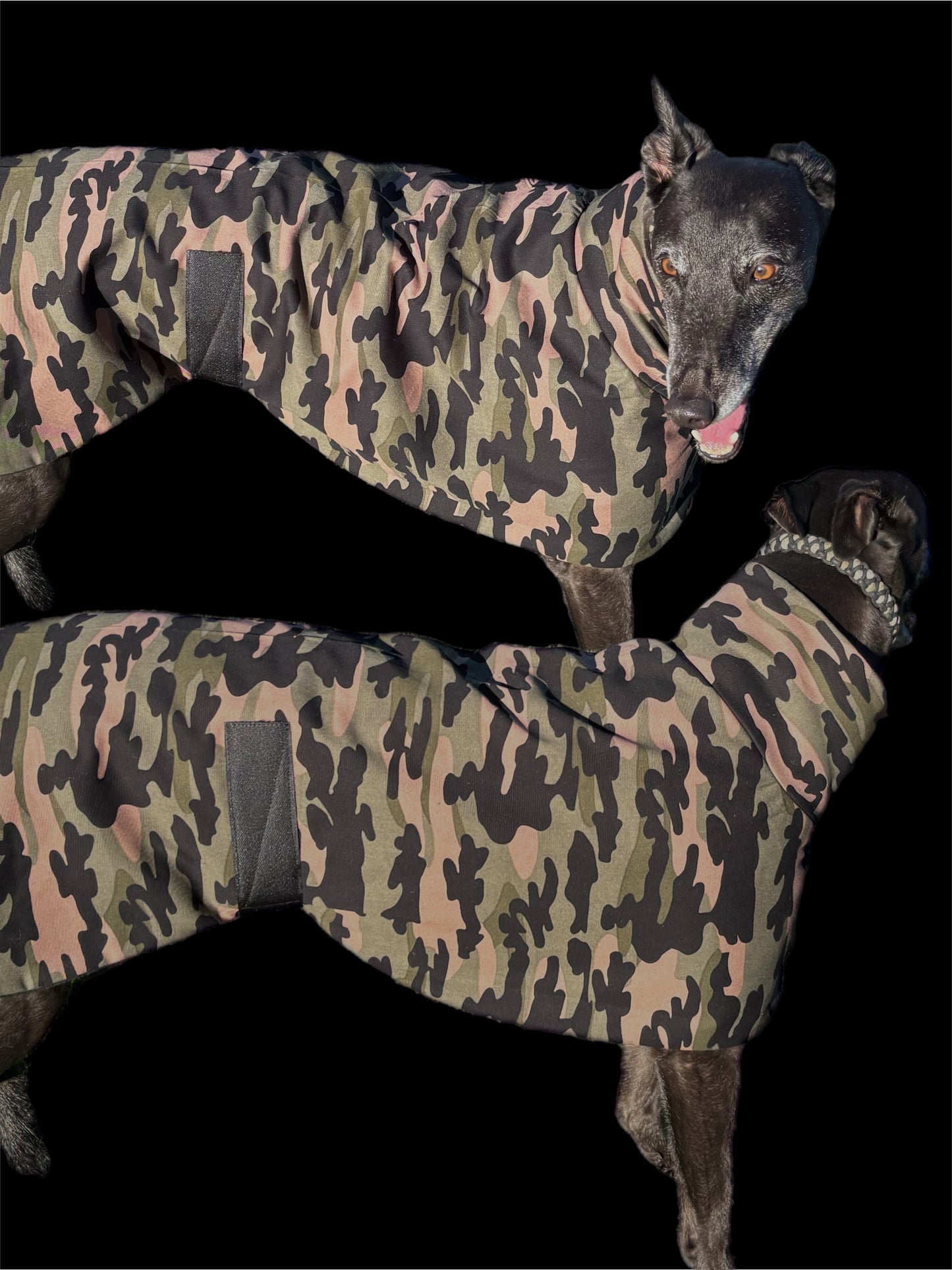 Cammo green Autumn range sports style Greyhound coat in cotton & fleece washable