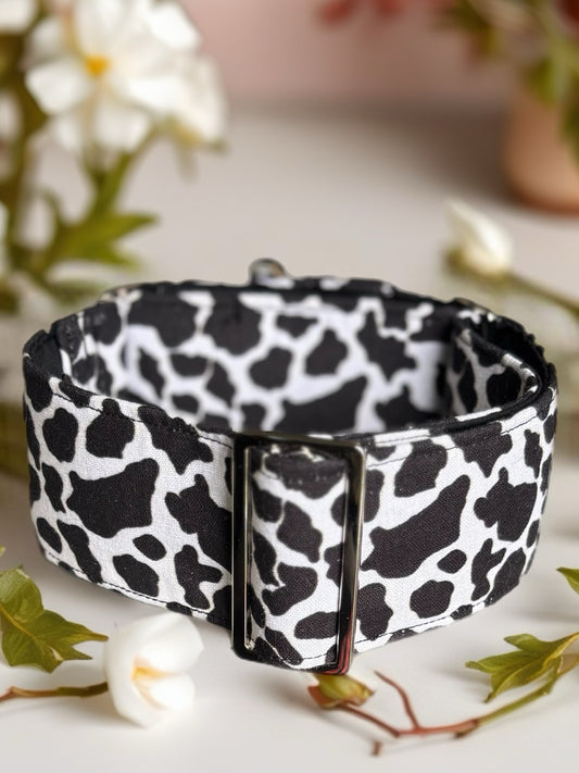 Cowprint Greyhound Martingale collar cotton covered 50mm width soft