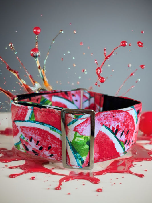 Wide Martingale greyhound collar sassy delicious watermelon cotton 50mm width super soft