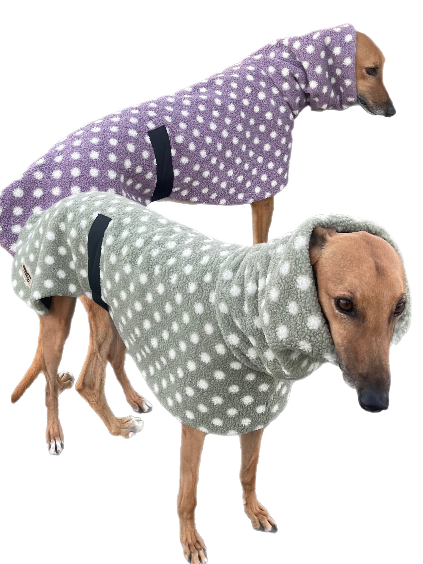 Sage Polka dot print Teddy fleece deluxe style greyhound coat with snuggly wide neck roll