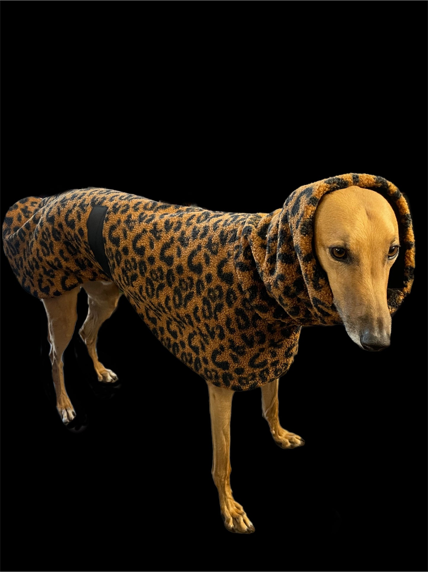 Leopard print Teddy fleece deluxe style greyhound coat with snuggly wide neck roll
