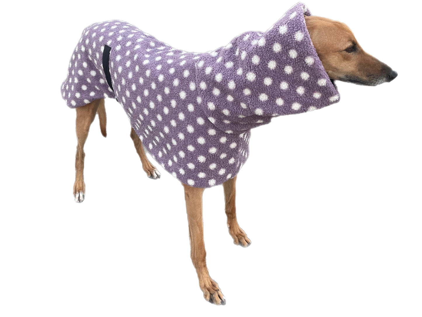 Violet Polka dot print Teddy fleece deluxe style greyhound coat with snuggly wide neck roll