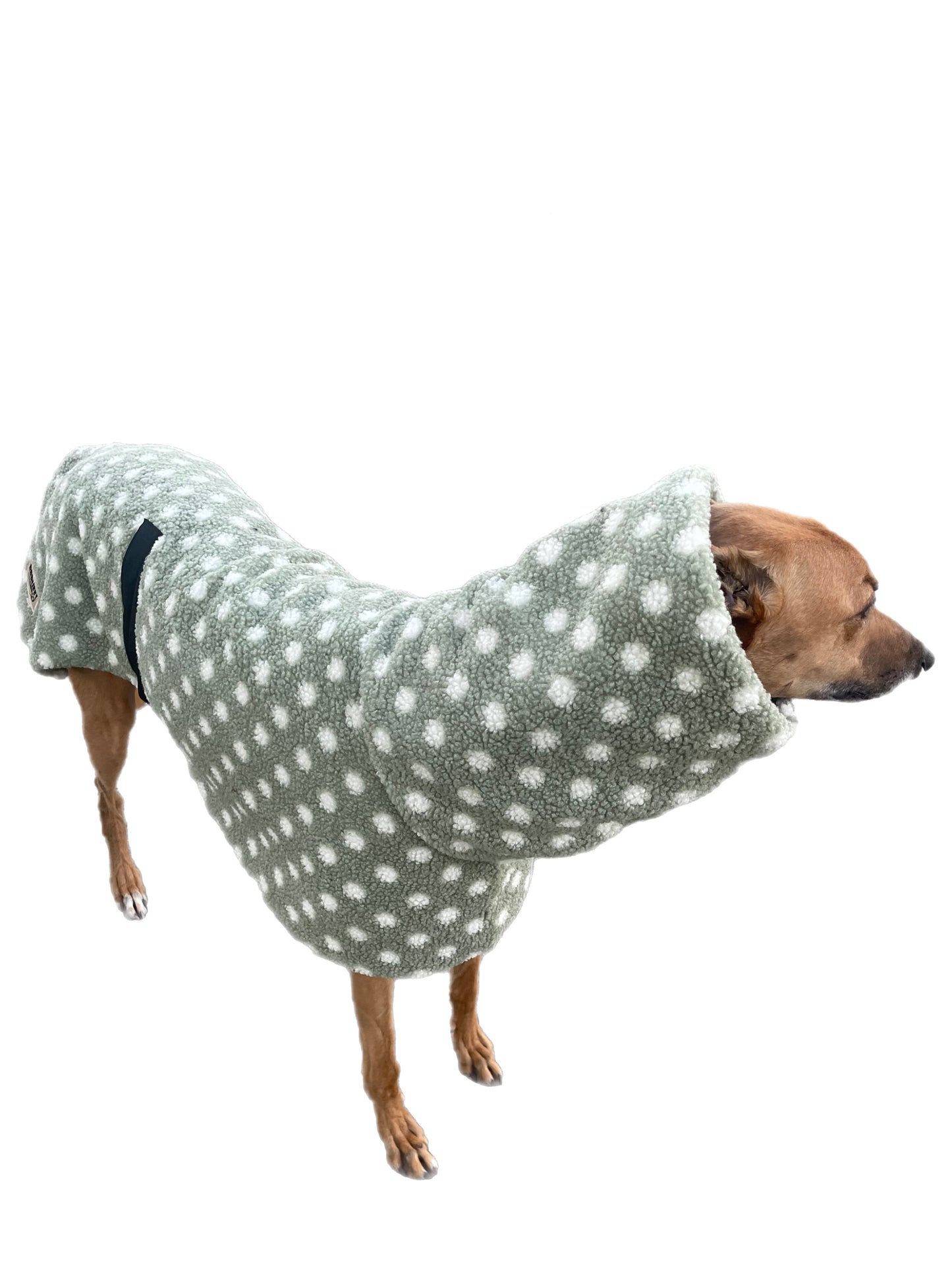 Sage Polka dot print Teddy fleece deluxe style greyhound coat with snuggly wide neck roll