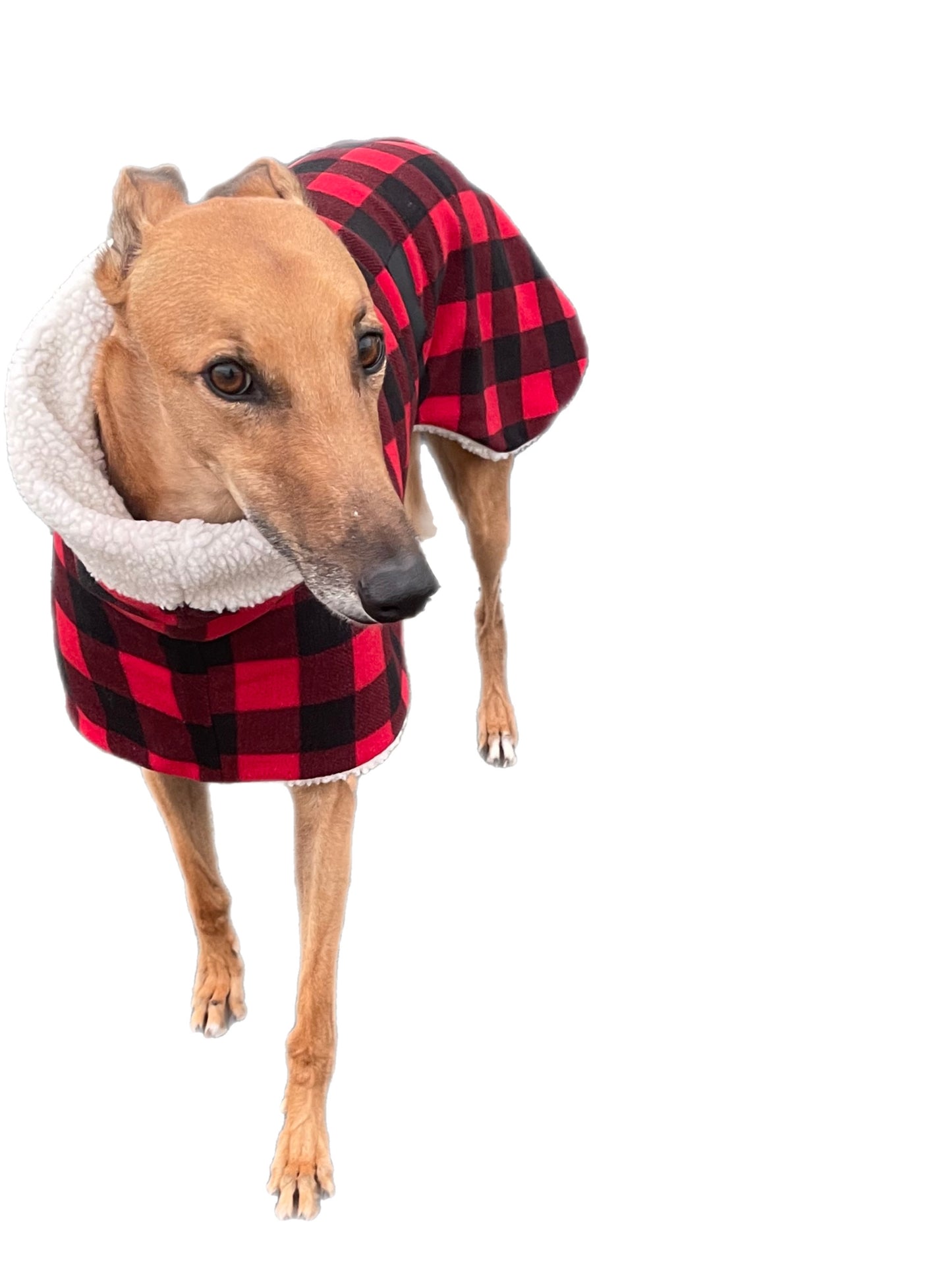The red Lumberjack Greyhound coat in deluxe style rug red black tartan check  polar fleece washable extra wide neck