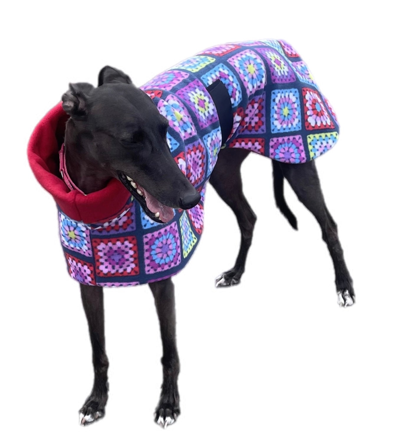 Granny Grey Greyhound Deluxe Dog coat dog rug, thick double polar fleece black washable extra wide hoodie