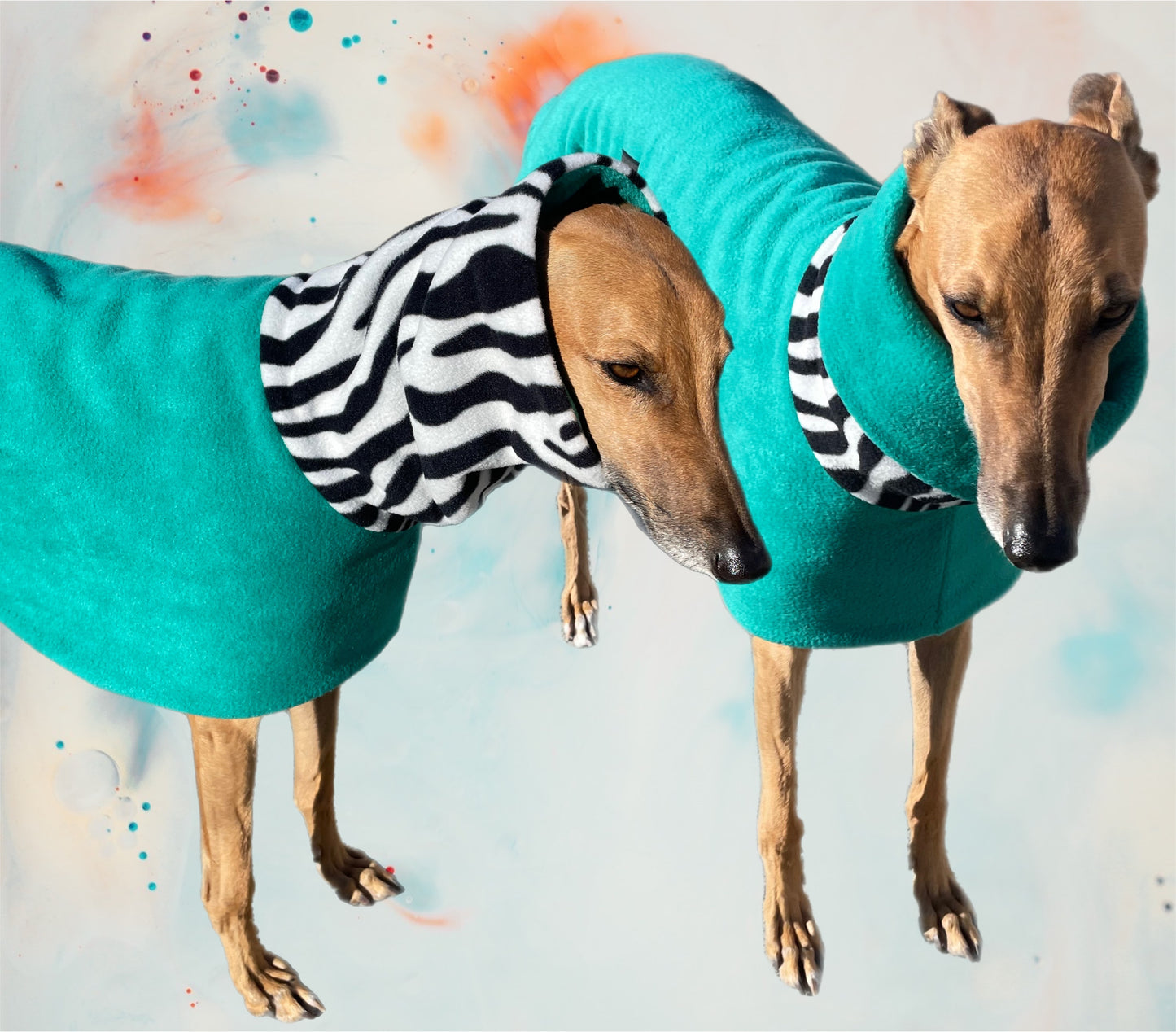 Zebra collar Greyhound Deluxe Dog coat dog rug, thick double polar fleece washable extra wide hoodie