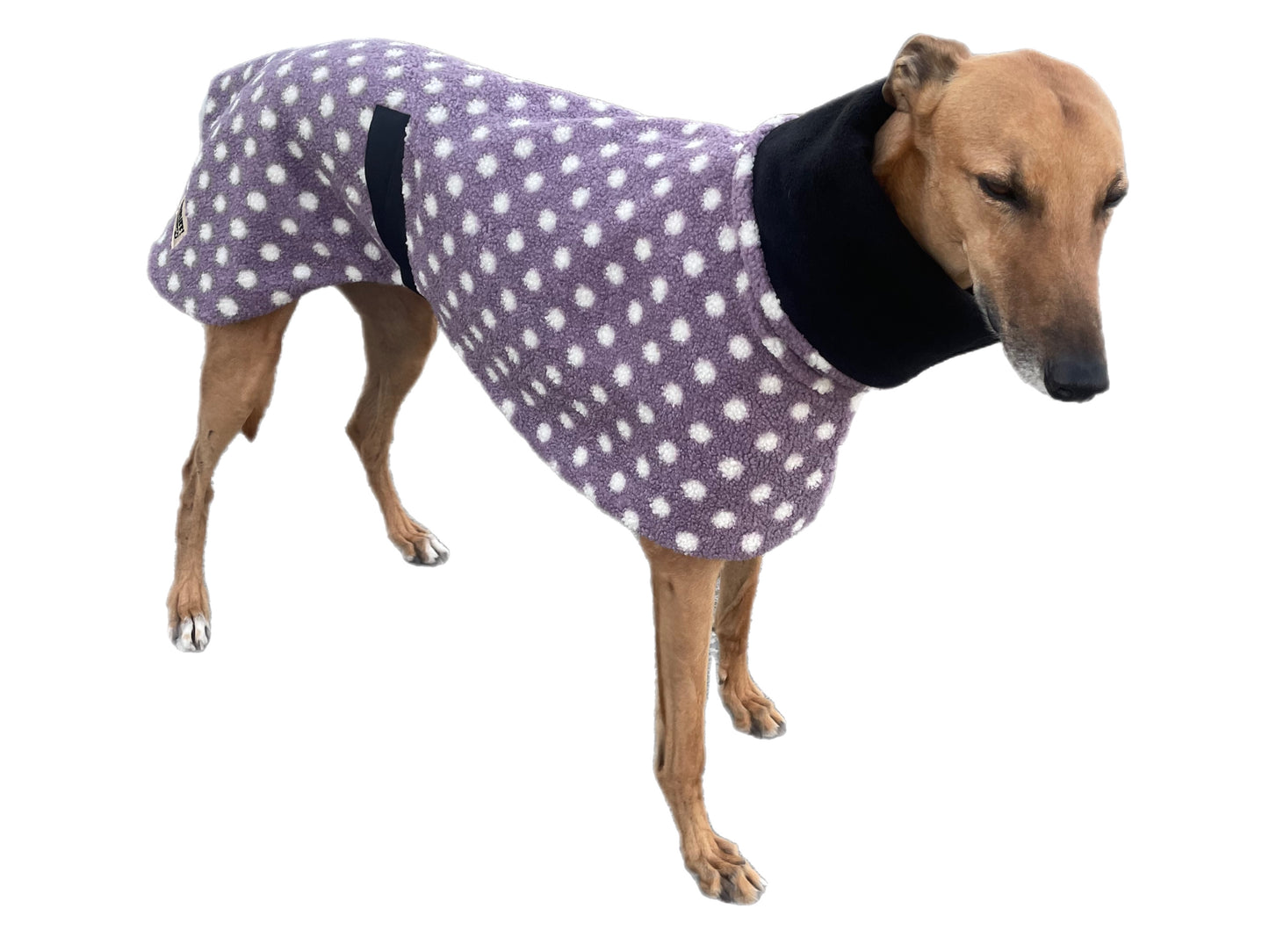 Violet Polka dot print Teddy fleece deluxe style greyhound coat with snuggly wide neck roll