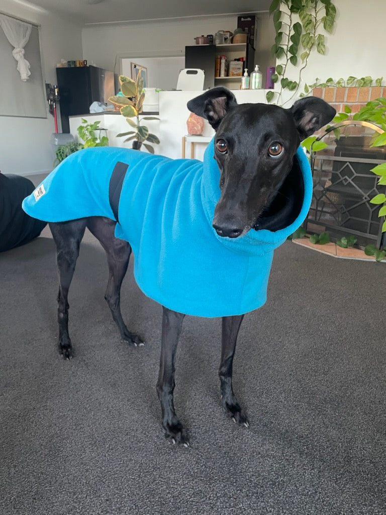 Greyhound Deluxe Dog coat dog rug, double polar fleece turquoise washable extra wide hoodie