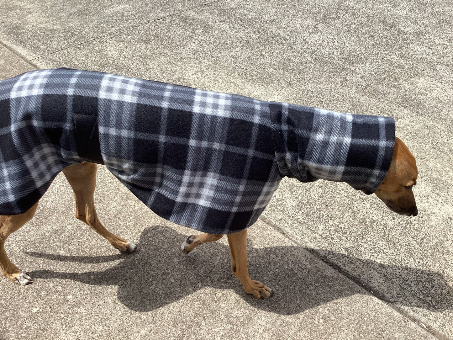 Black and grey check tartan winter deluxe style greyhound coat in double fleece with extra wide neck roll