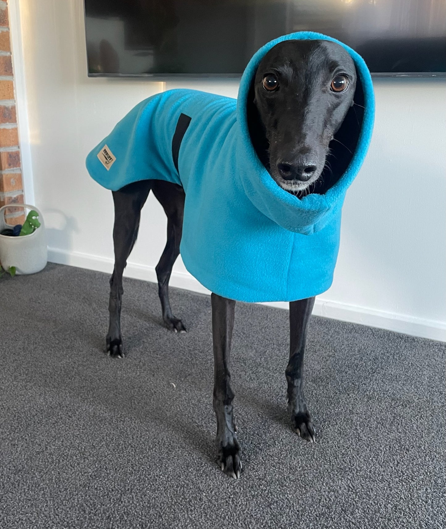Greyhound Deluxe Dog coat dog rug, double polar fleece turquoise washable extra wide hoodie