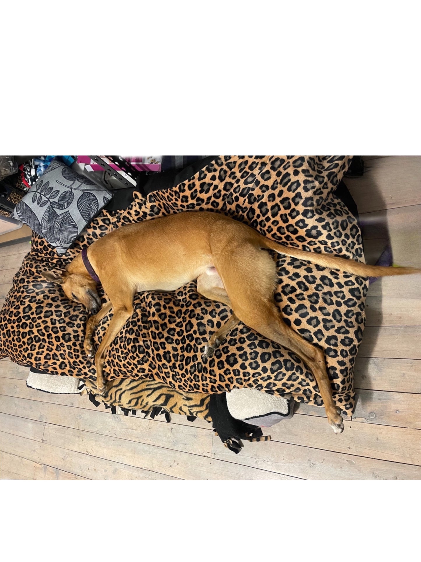 Jumbo super soft fleece cover DIY dog bed luxury washable