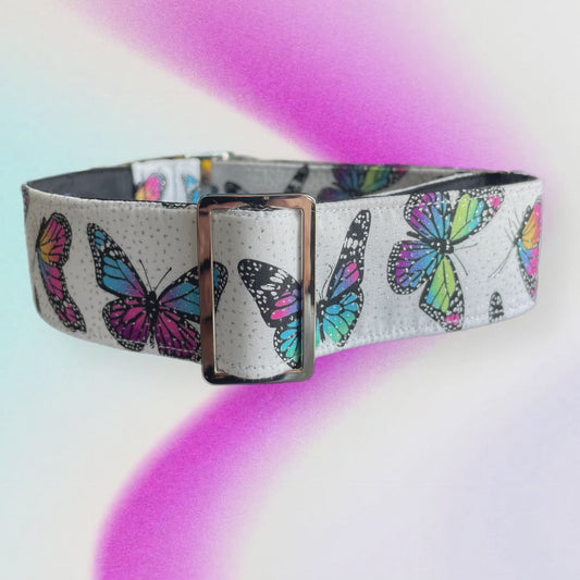 Butterflies on white with silver sparkles Cotton covered greyhound Martingale collar wide lightweight available in two widths