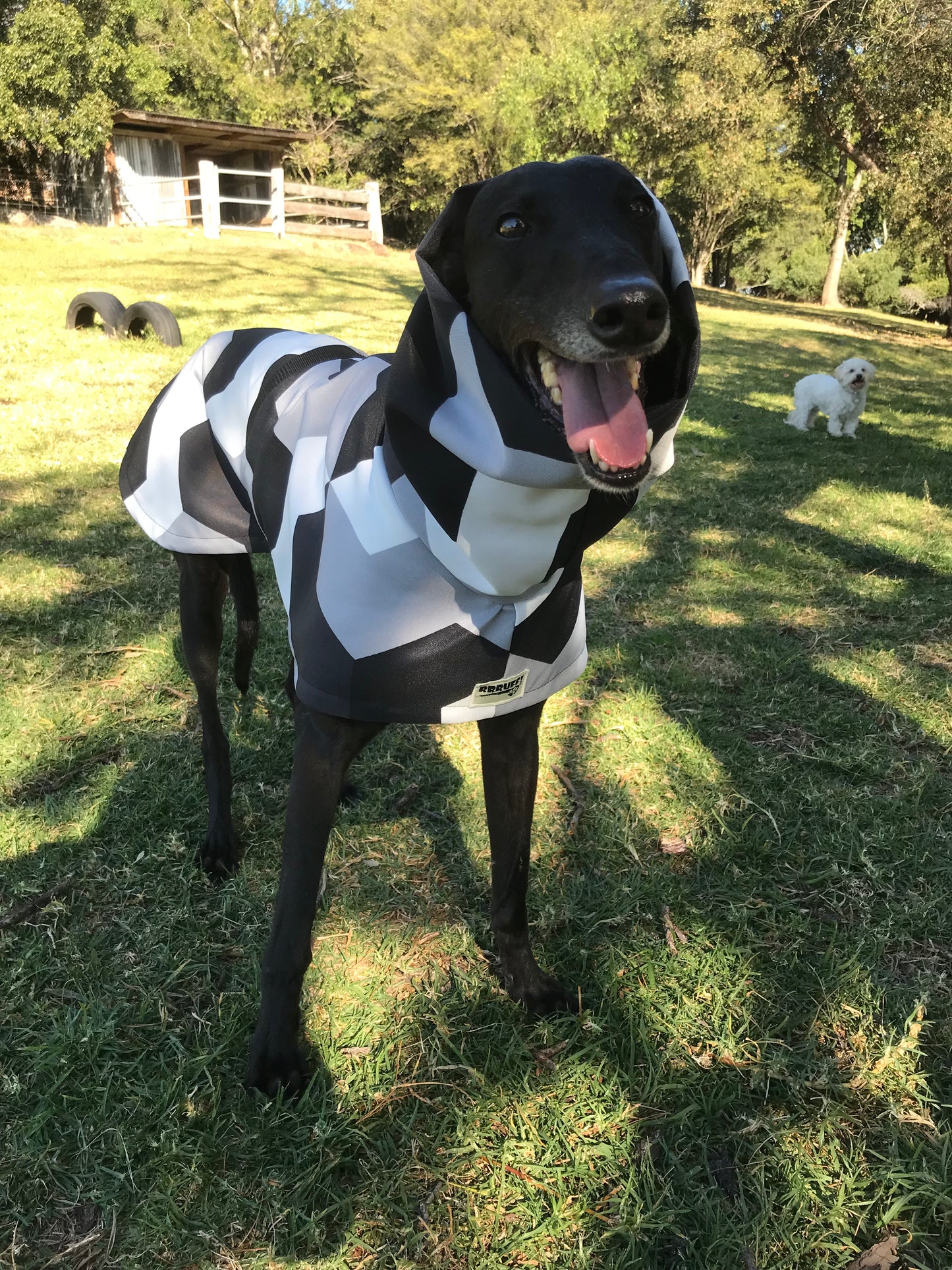 Clearance! Greyhound coat with huge collar, monochrome black, grey & white,  lightweight, windbeater, washable