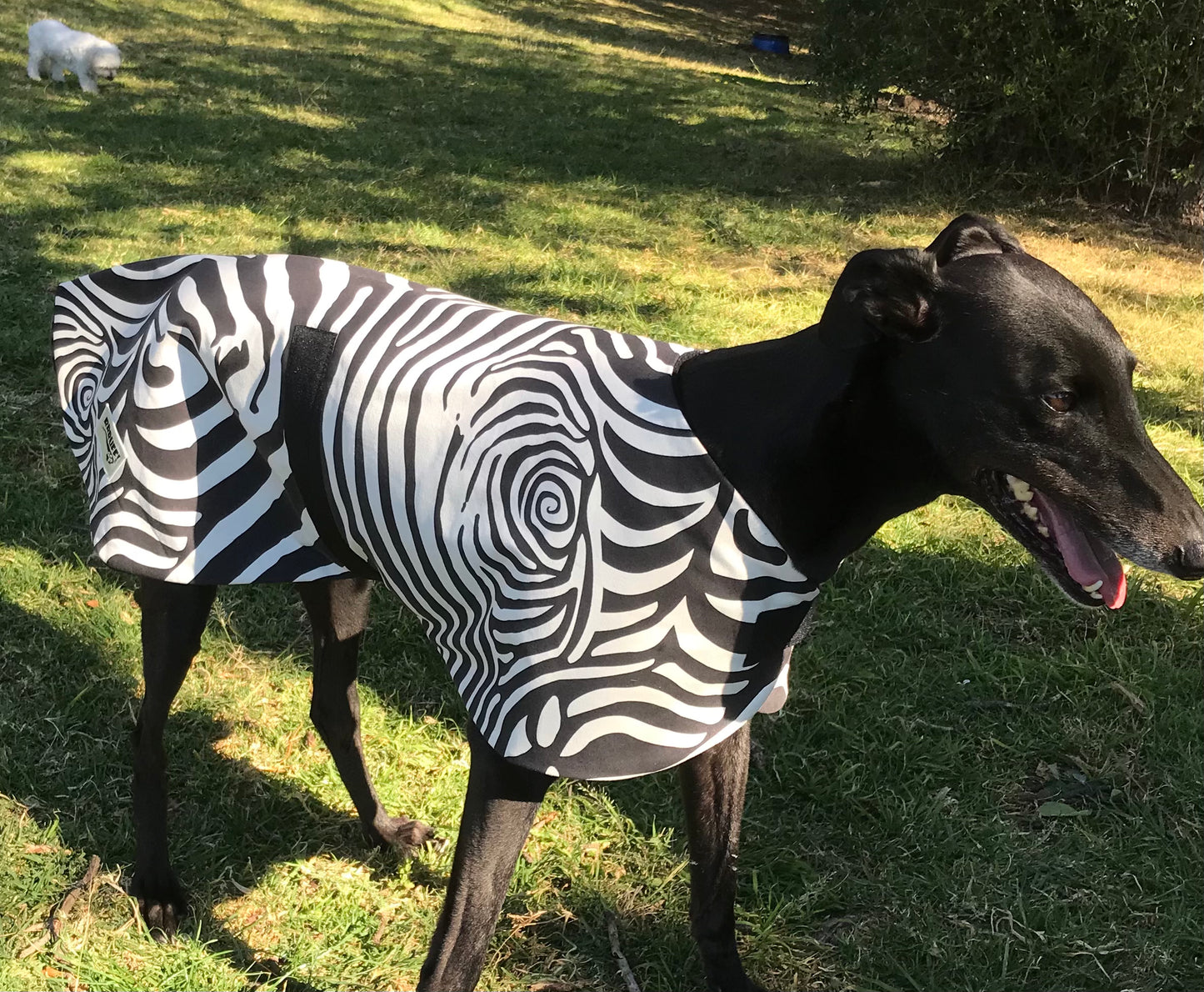 Zebra Spring Autumn range Greyhound coat in cotton & fleece fully washable