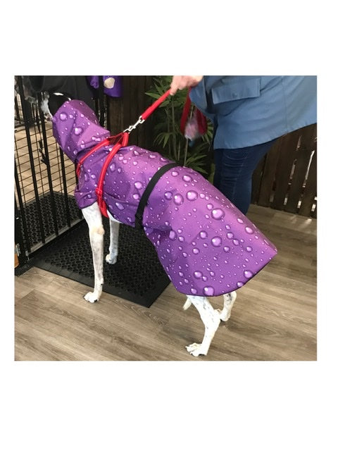 Ultra lightweight rainwear Greyhound coat deluxe style, easy care, fashion statement