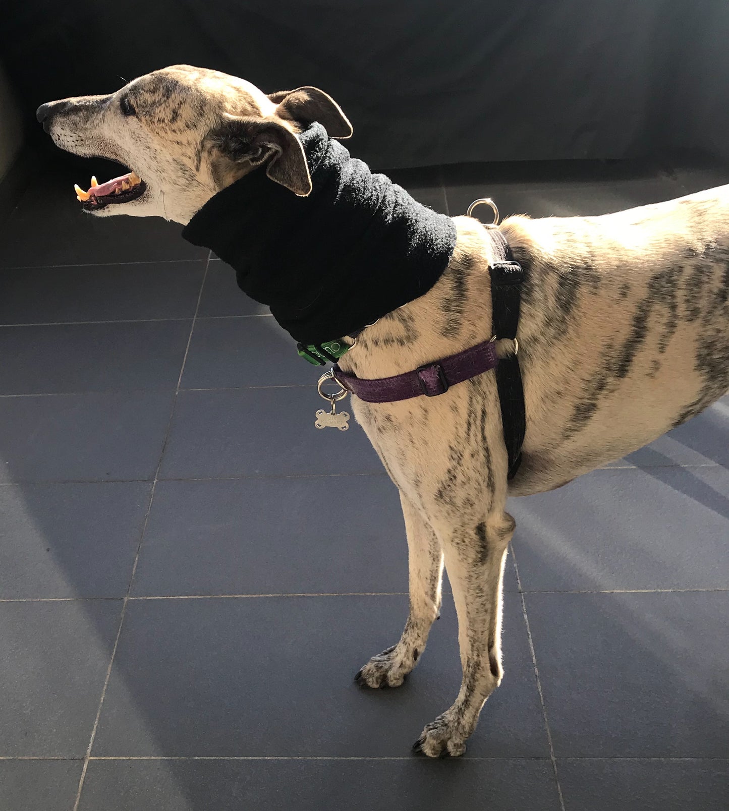 Greyhound fleece extra wide collar scarf snood neck warmer