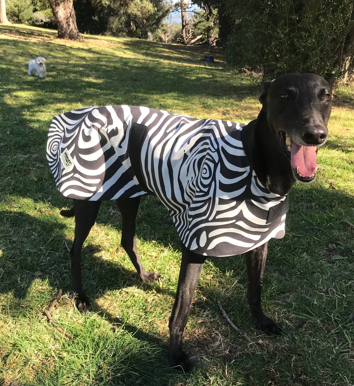 Zebra Spring Autumn range Greyhound coat in cotton & fleece fully washable