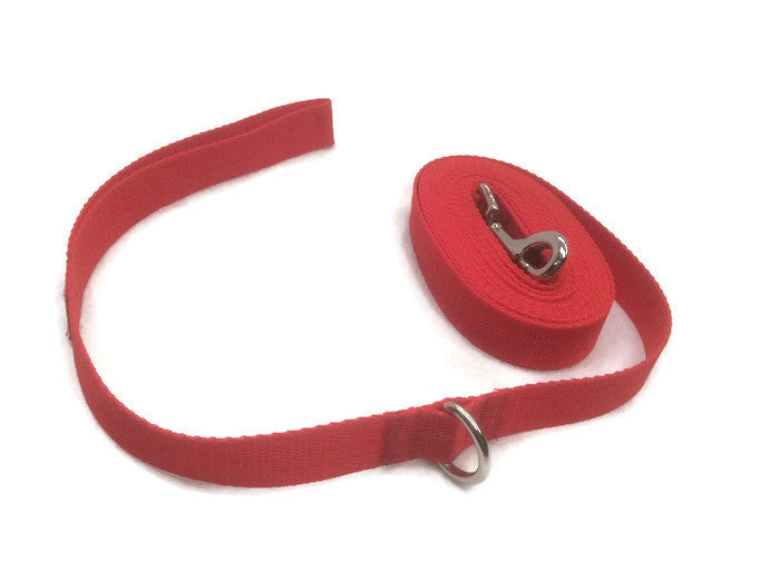 5mts 2.5cms Lead Red Leash Recall Beach Park Pet Dog Puppy Long Training Lead