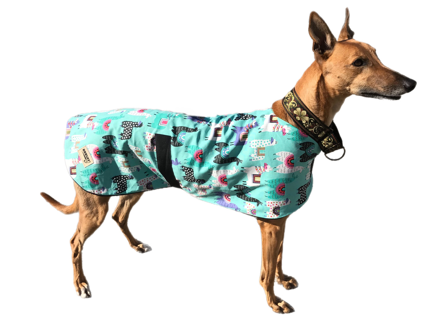 Fresh new Spring Greyhound ‘llama design’ coat in premium cotton & thick fleece washable