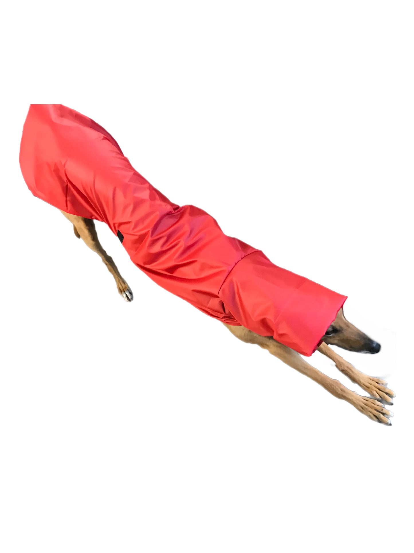 Flame red super soft Greyhound coat deluxe style, summer rainwear, washable