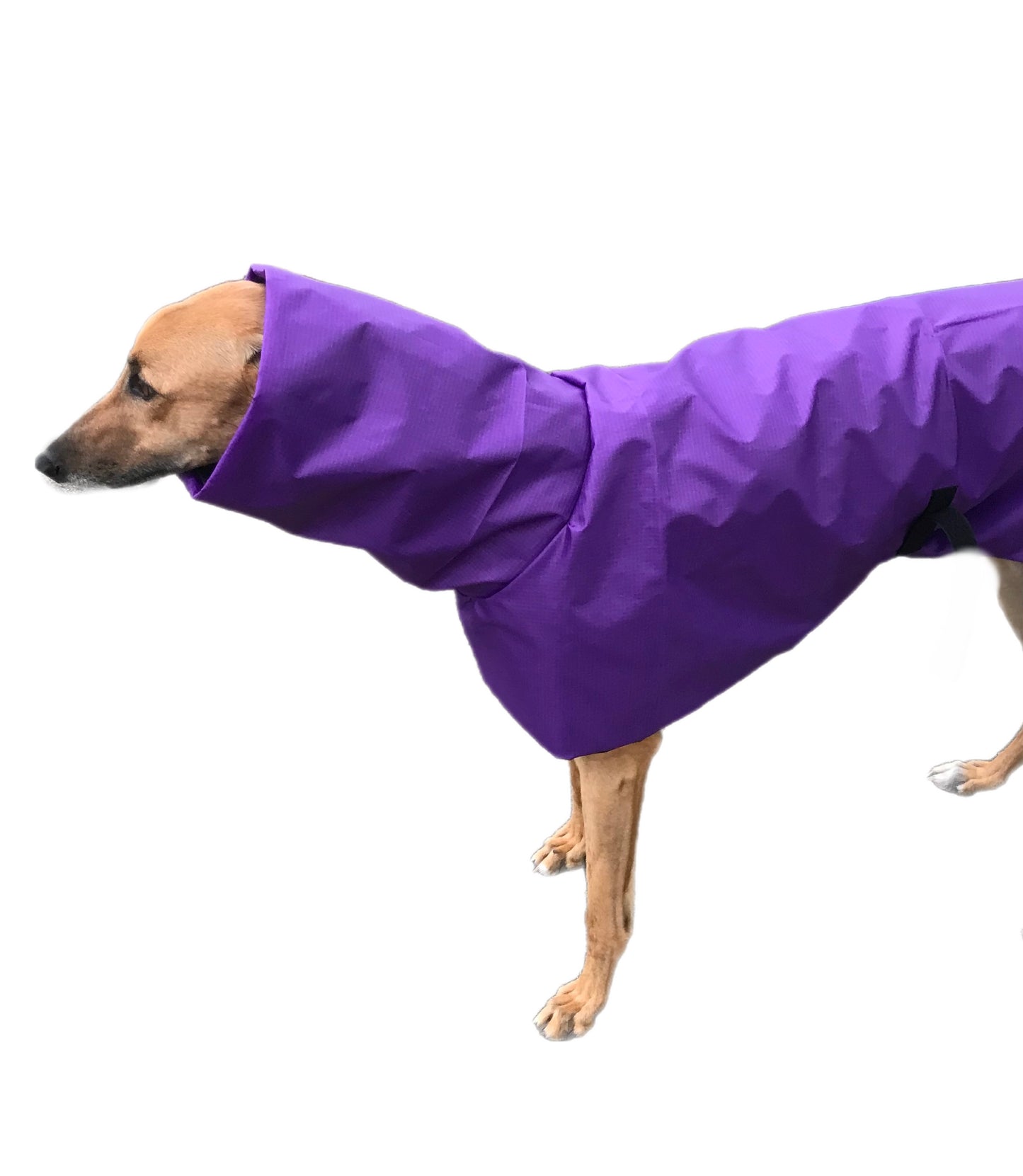 Purple super soft Greyhound coat deluxe style, summer rainwear, washable