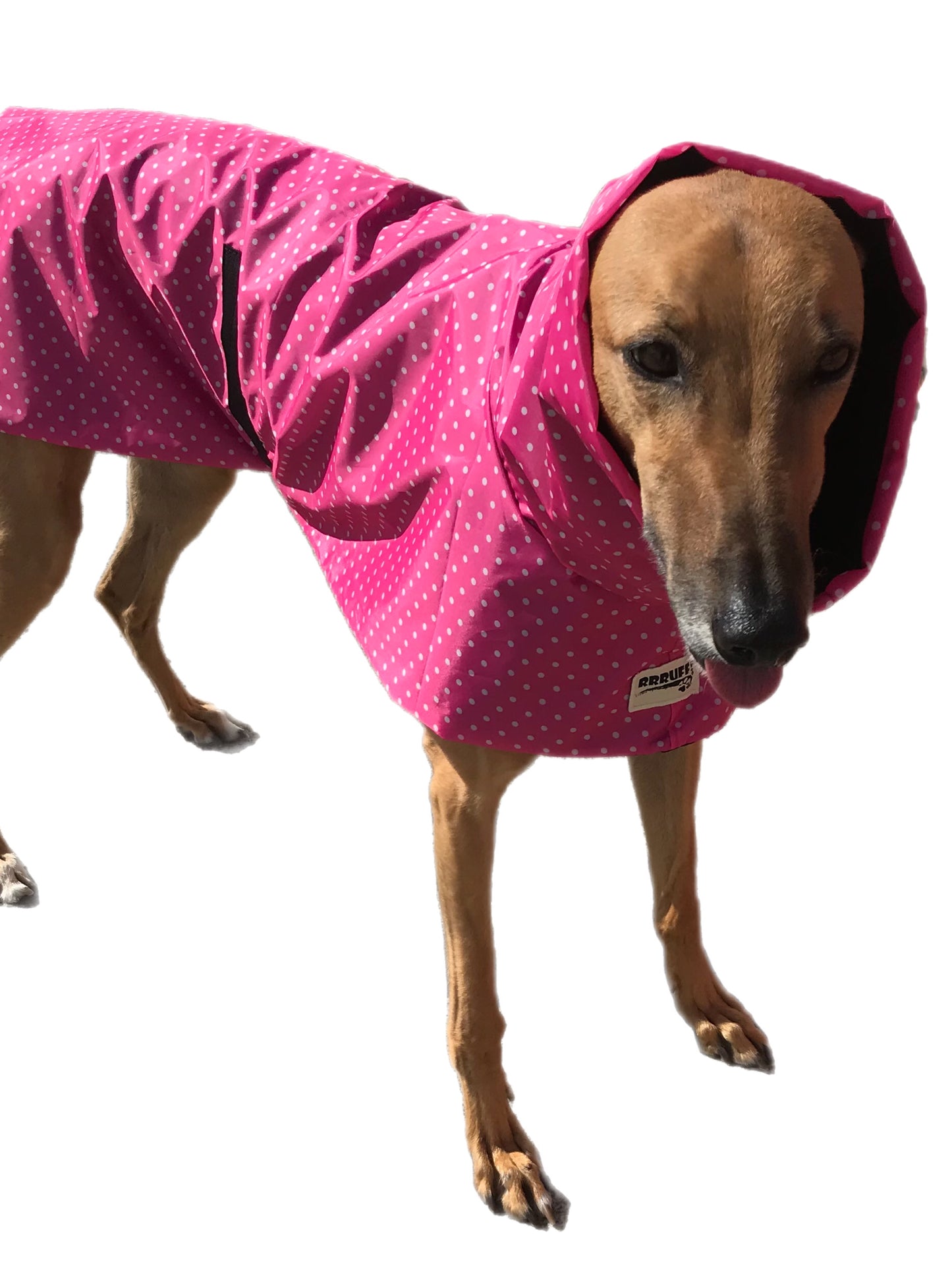 Pink dotty prints Greyhound coat deluxe style, summer rainwear, washable