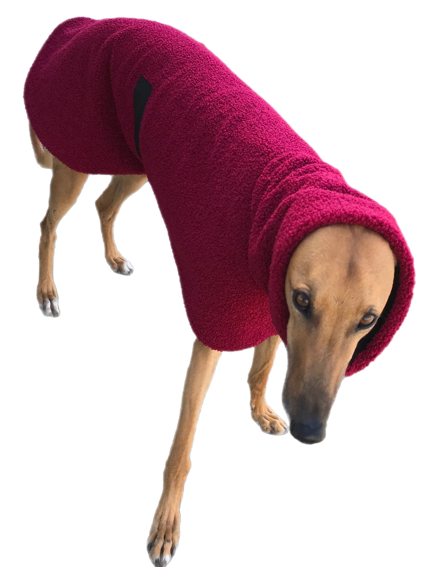 Beautiful burgundy Teddy fleece extra thick deluxe style greyhound coat with snuggly wide neck roll