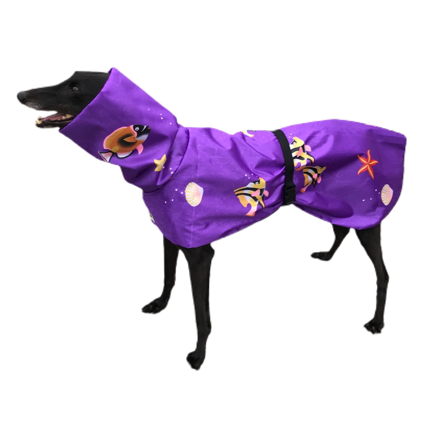 Purple print Greyhound coat deluxe style, summer rainwear, washable